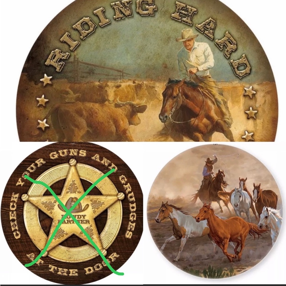 Wild Wings Nature Coasters Western